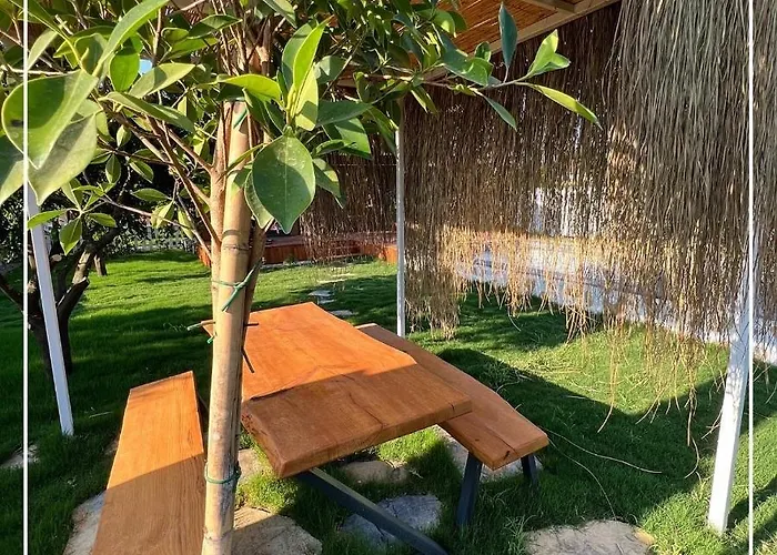 Sb Garden *